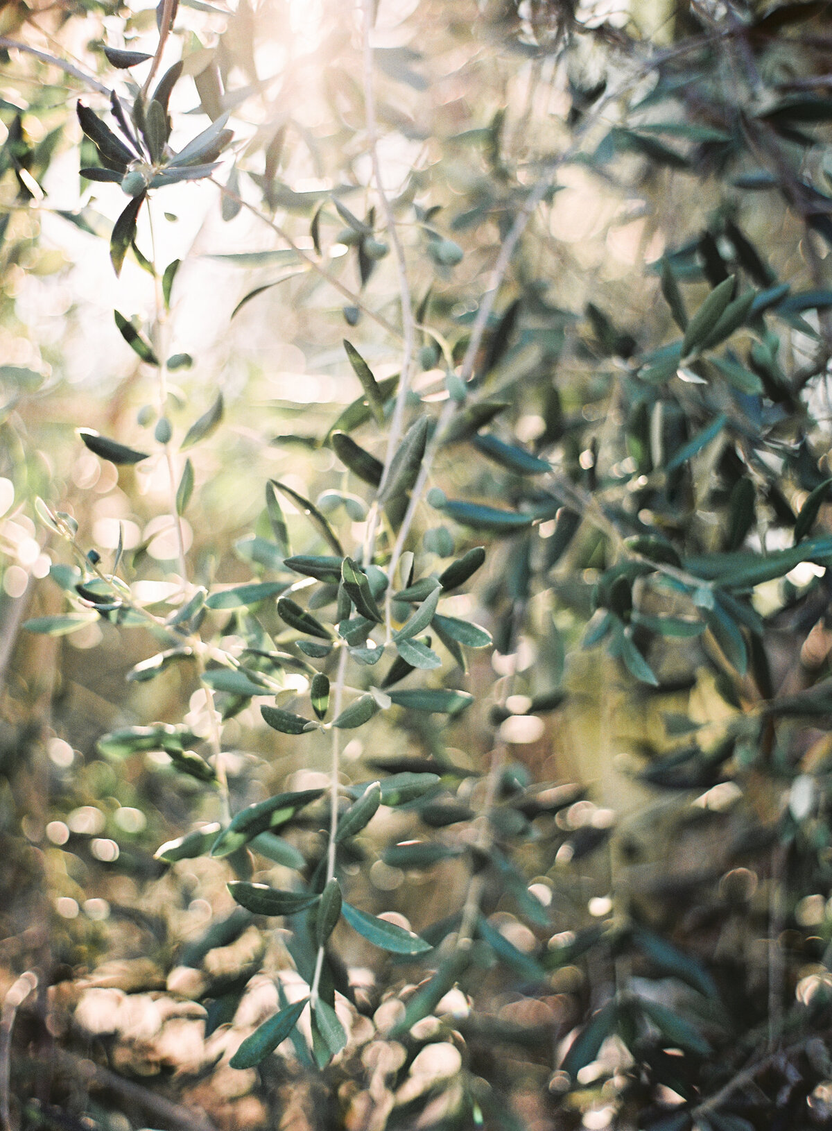 Lookbook-inprogress--132