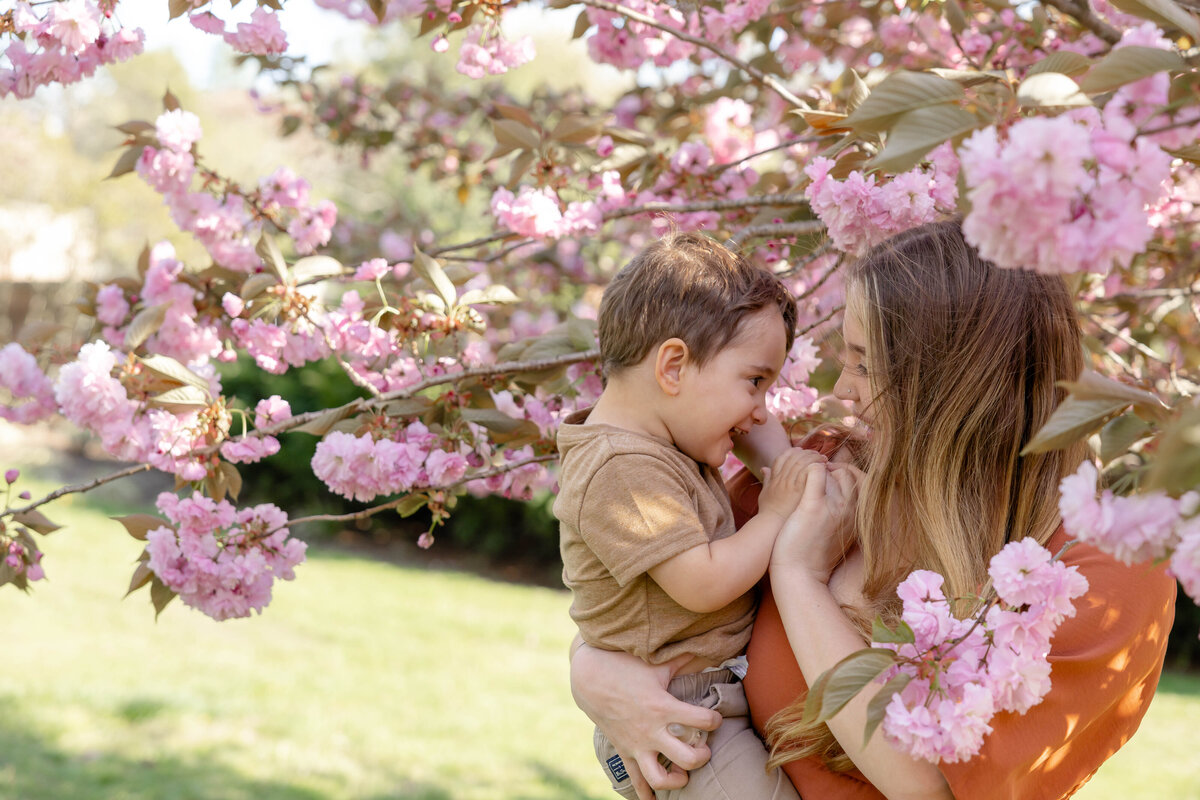 Eisenhower Park Cherry Blossoms Photoshoot