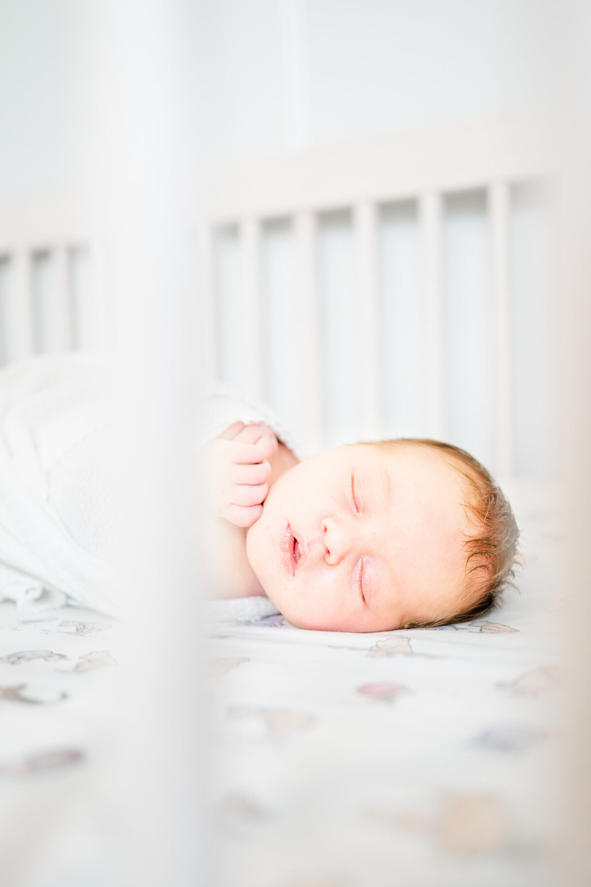 Luke's New Jersey Newborn Session