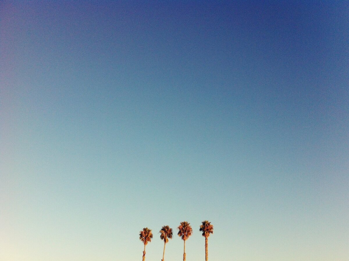 45666-8408310-jacqueline_campbell_travel_11_JPG1