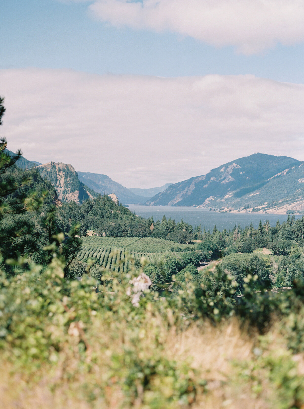 griffin-house-wedding-in-hood-river-oregon-by-the-tenneys-photographers-01