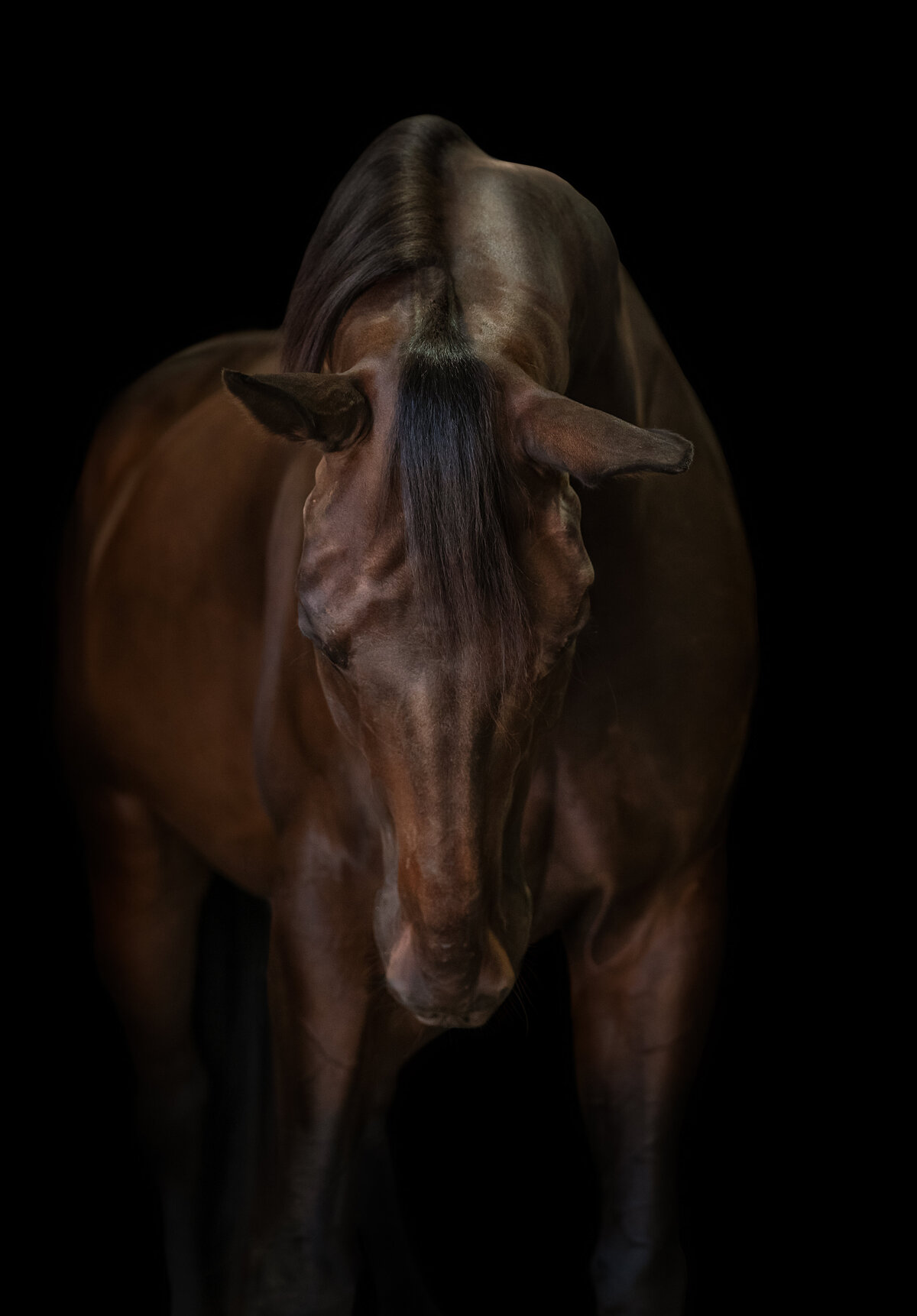 DSC05510-Edit