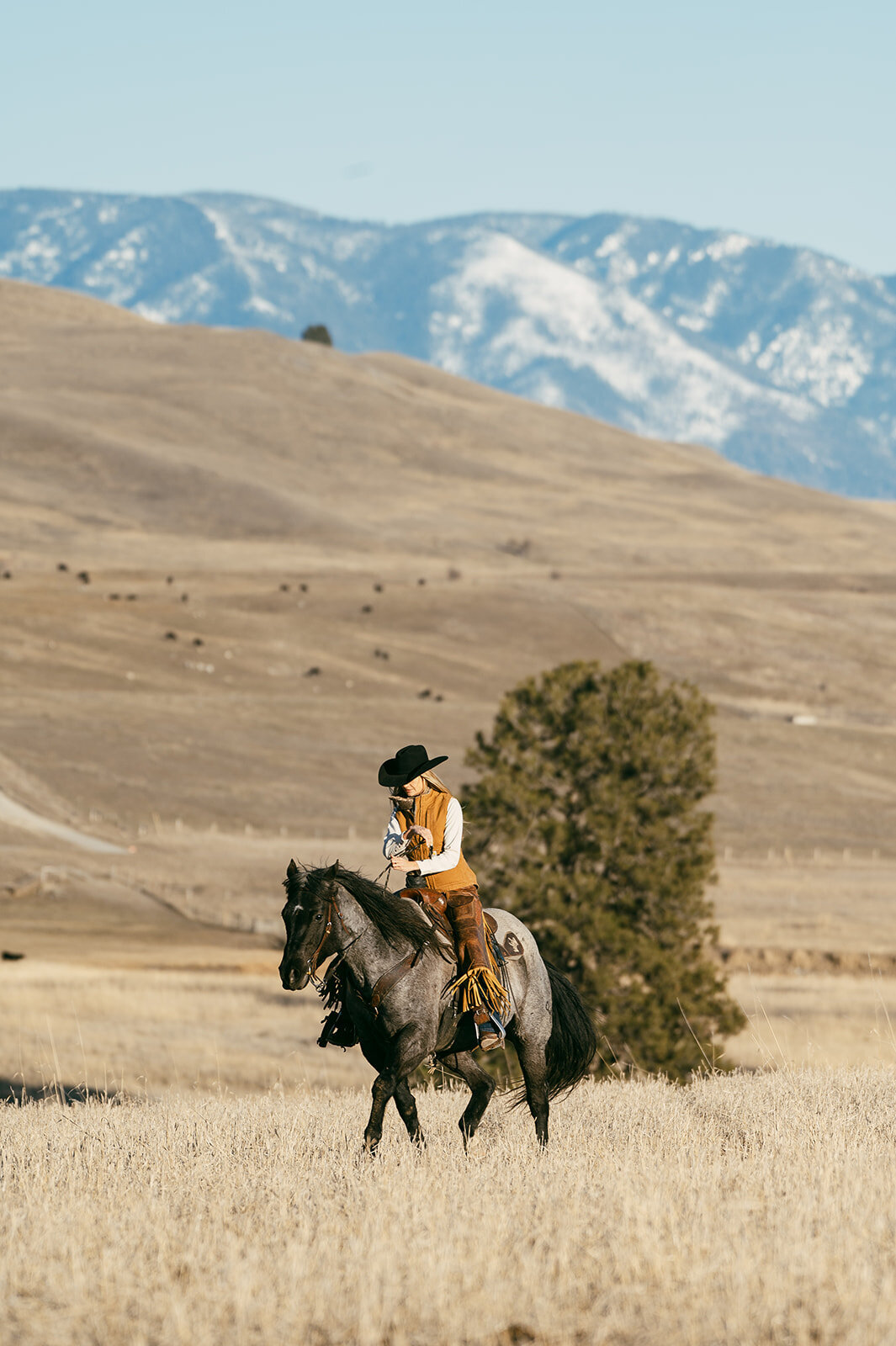 presley-gray-photo-montana-western-ranch-couples-photoshoot-1722