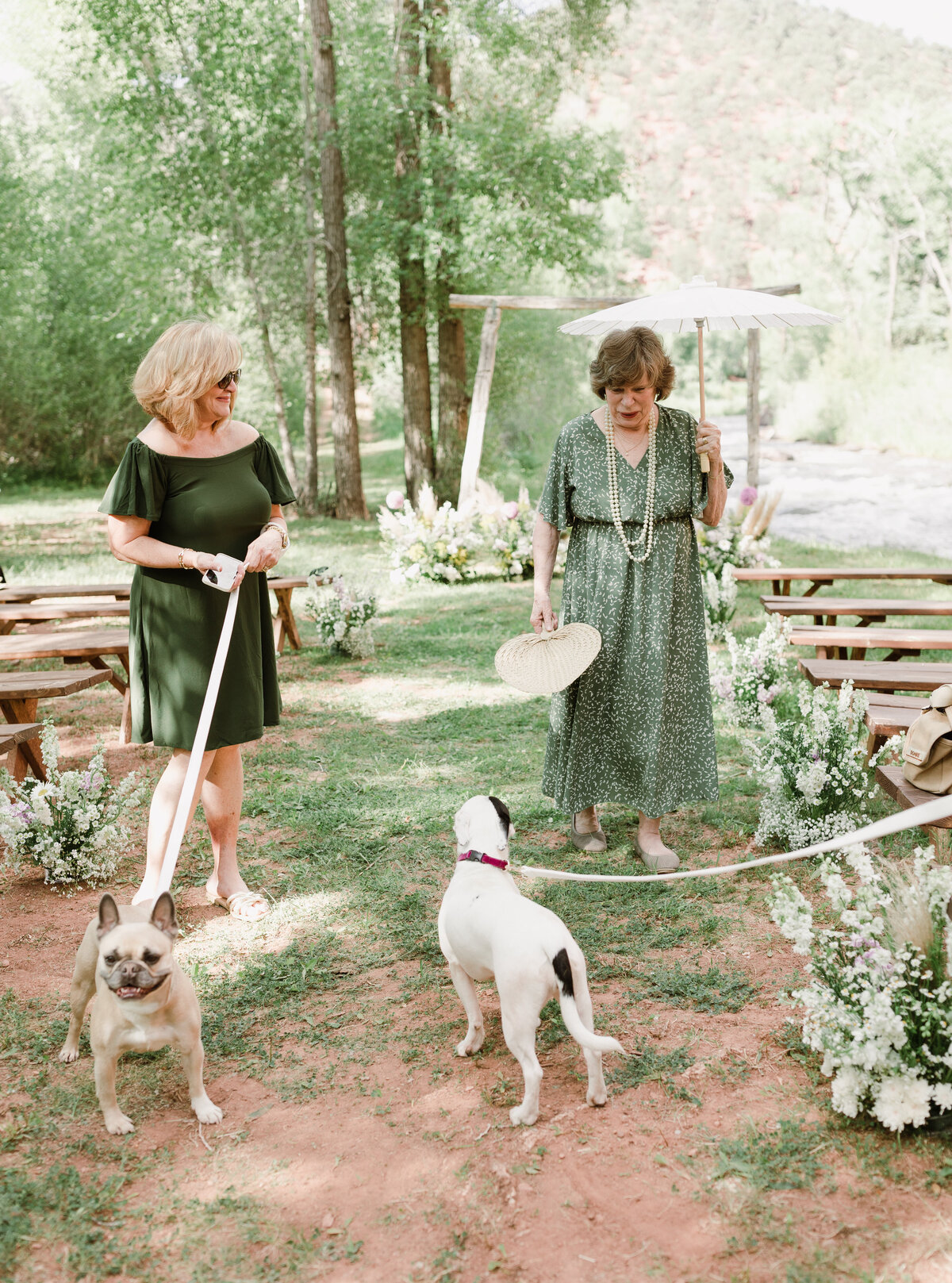 Wedding guests with two dogs
