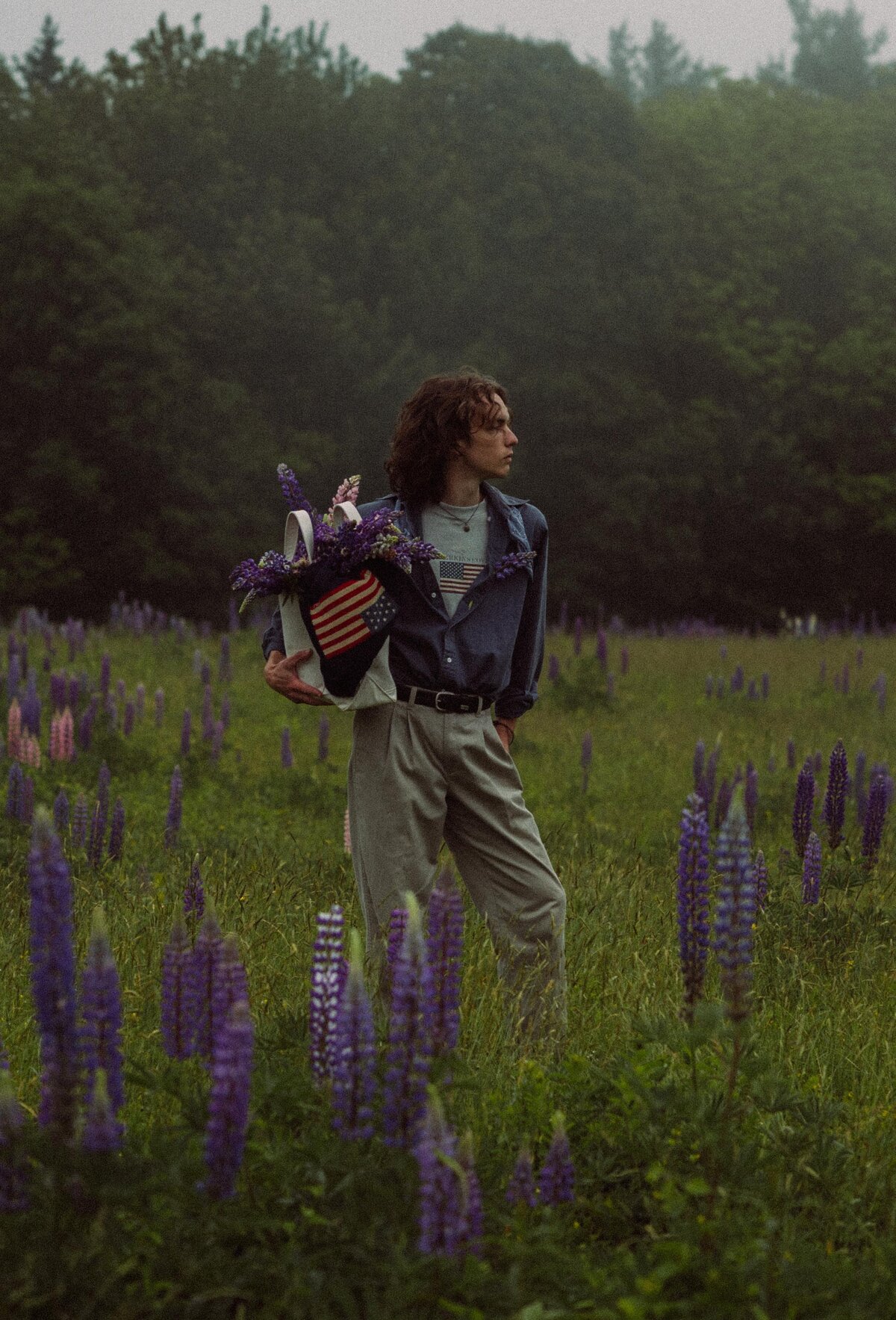 Viewing Lupines in Maine