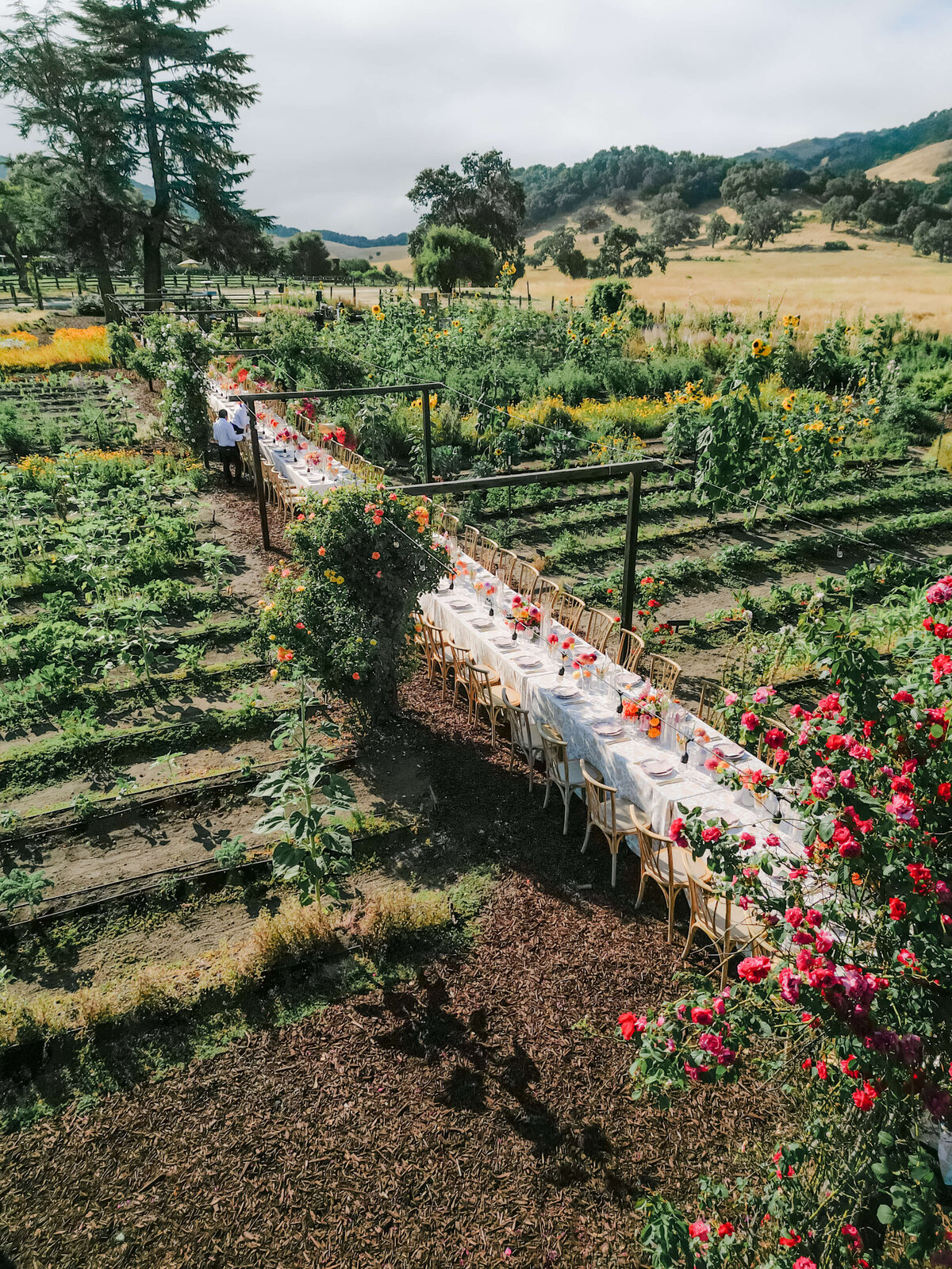 dji_fly_20240727_171812_53_1722139664066_photo 2
