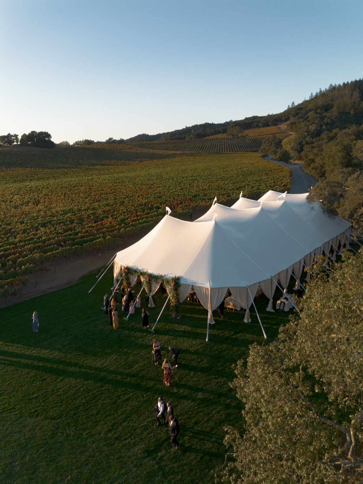 DT-2025-Celine & Gabe Highlights-26