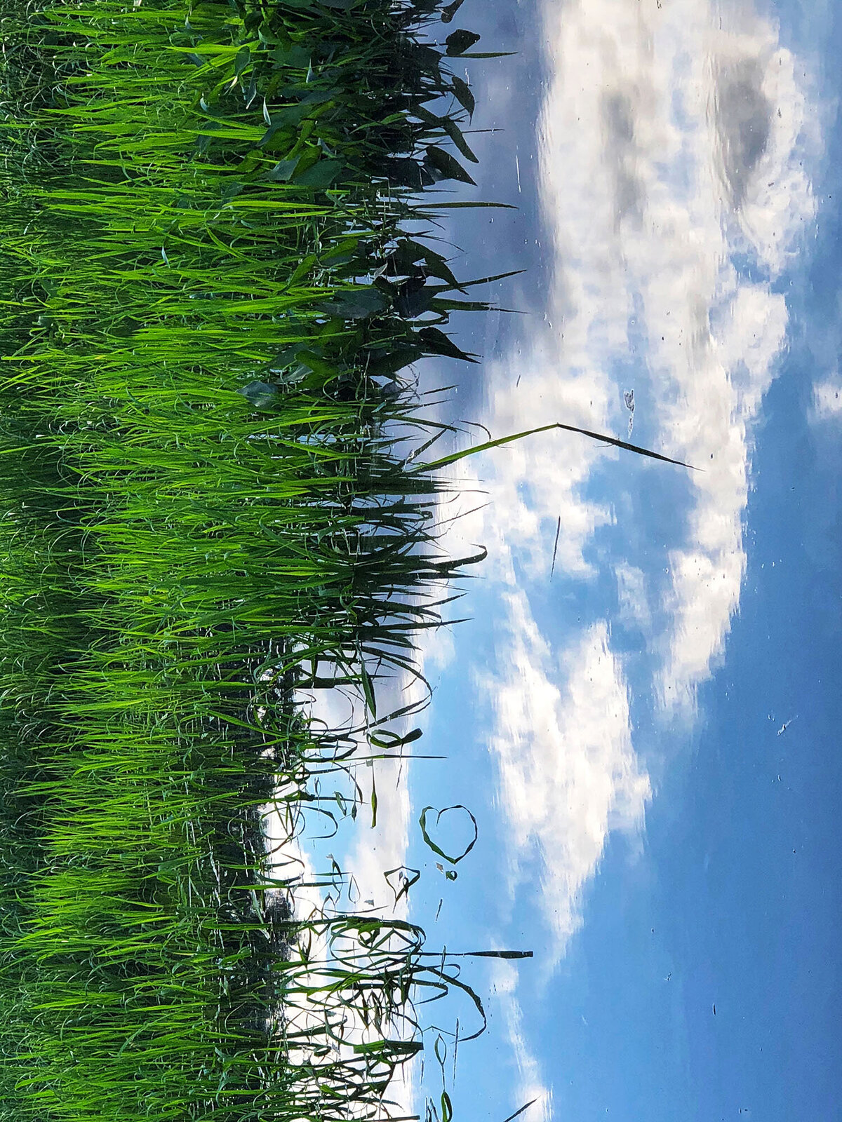 CCC_Estuary_89