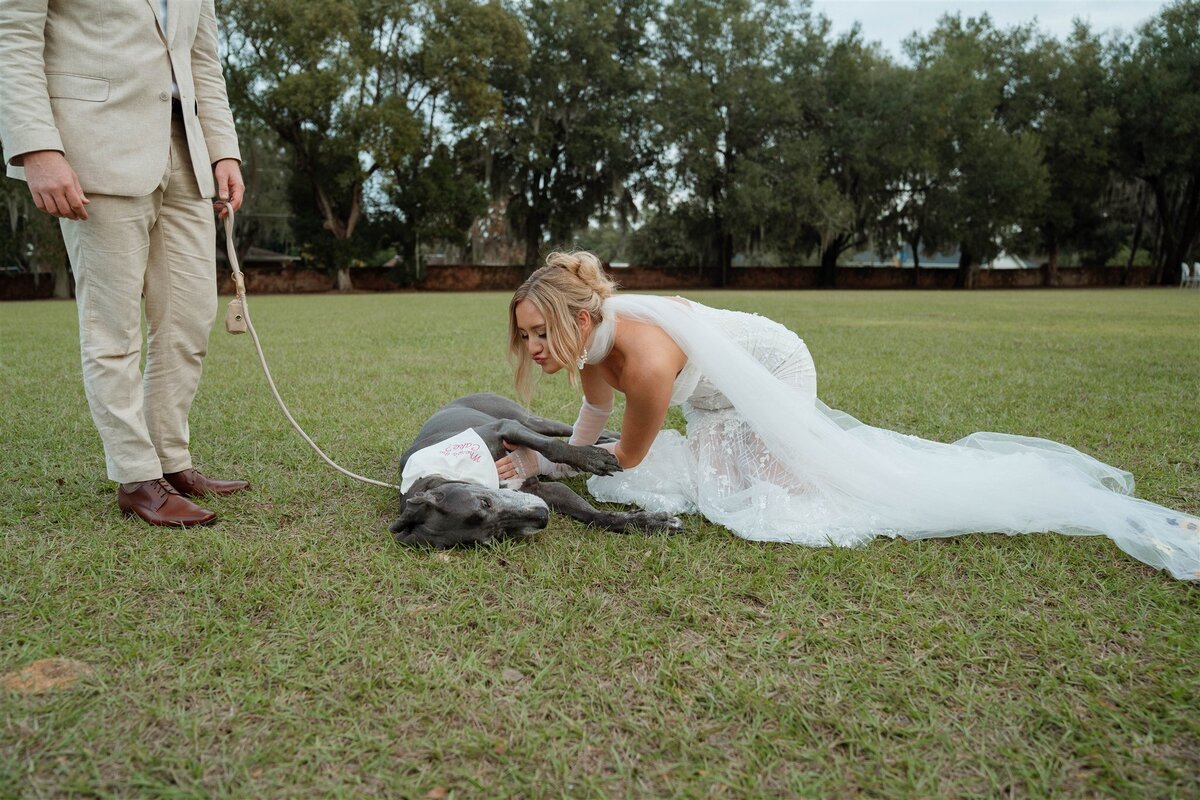 AshleyJPhotography-03385