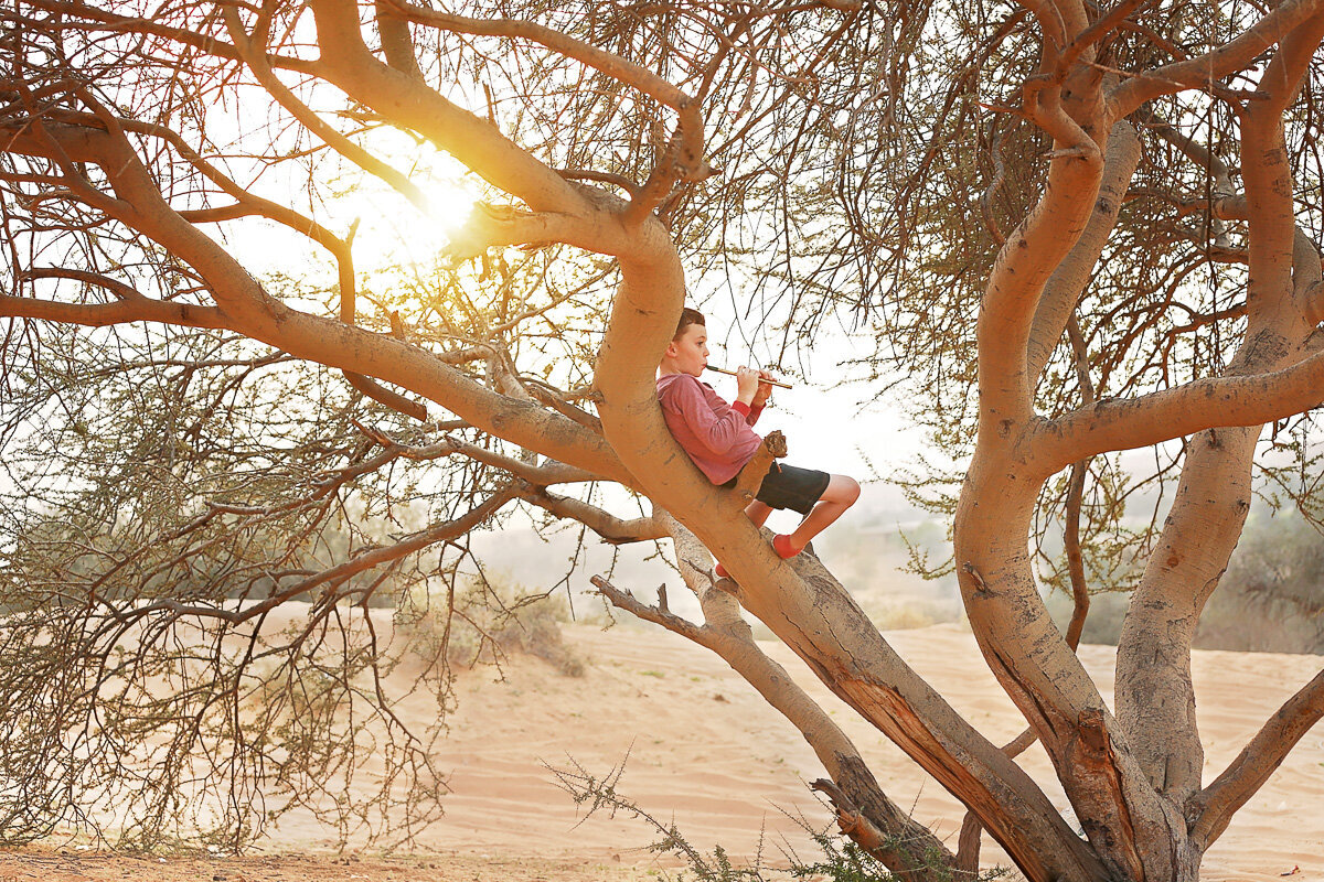 Boy on the tree_Calgary family photographer