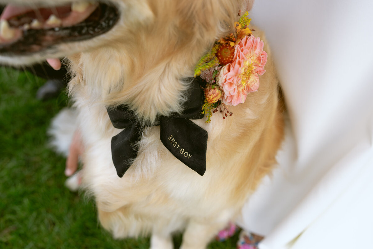 K&C Bella Terre Fall Wedding-114