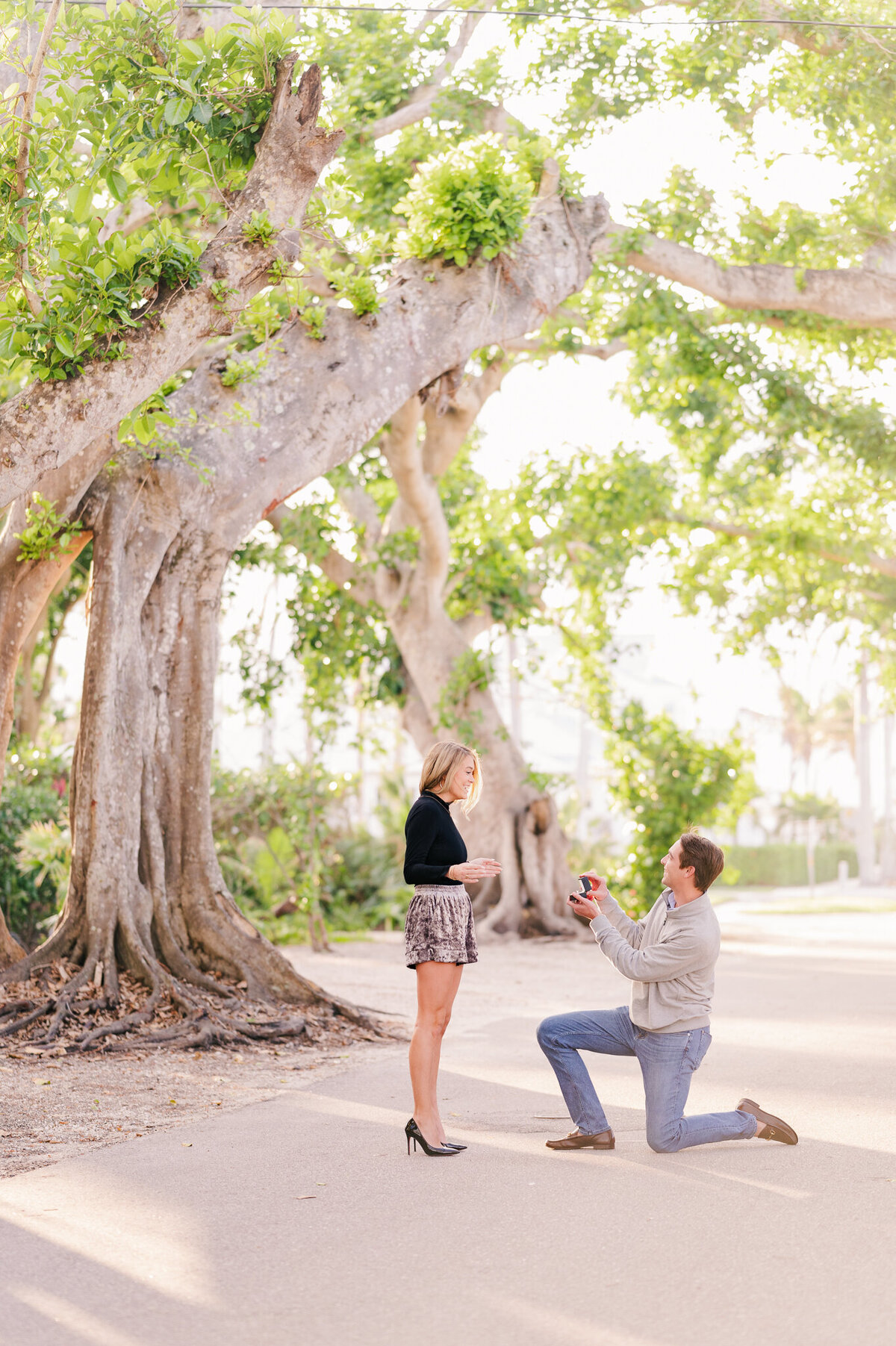 Sam and tristan proposal-2085