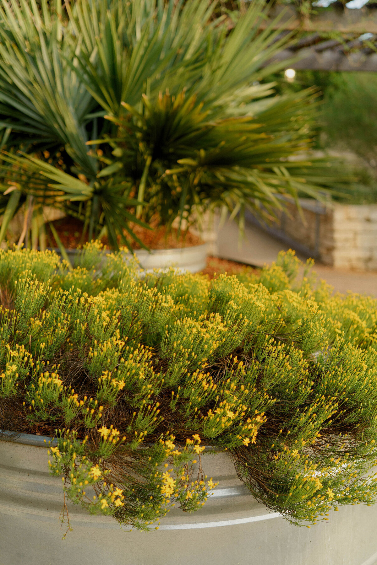 Family&Friends_Esme&JacobWeddingPhotos_AustinWeddingPhotographer_HereafterFilms-20