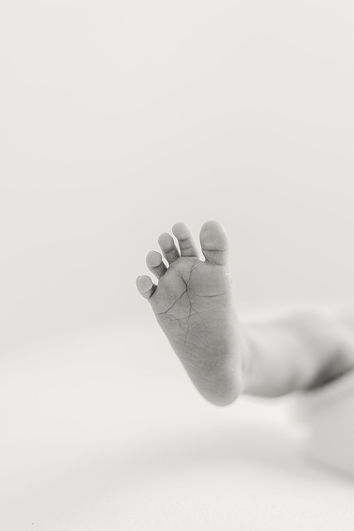 luxury-jupiter-newborn-photographer_0024