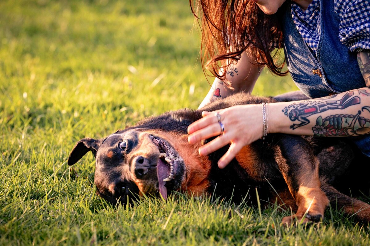 seattle-pet-photographer-8