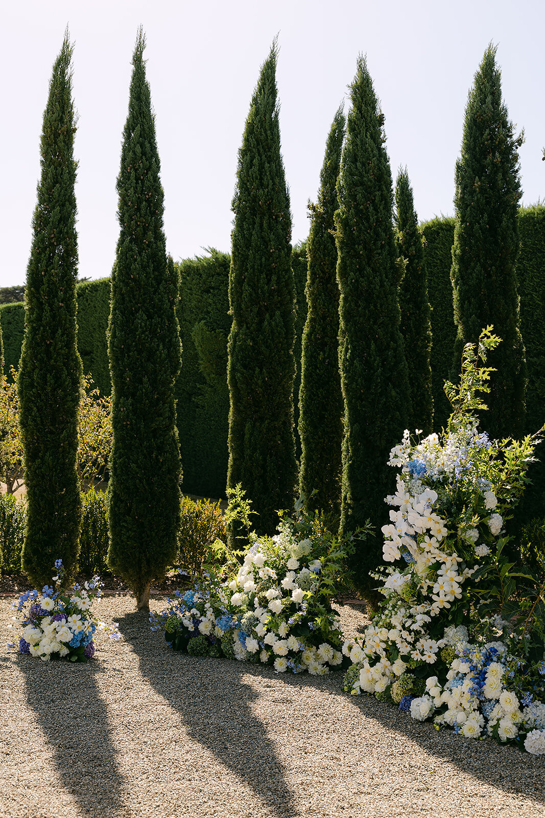 Phil and Tara x Ashleigh Haase Photography-454