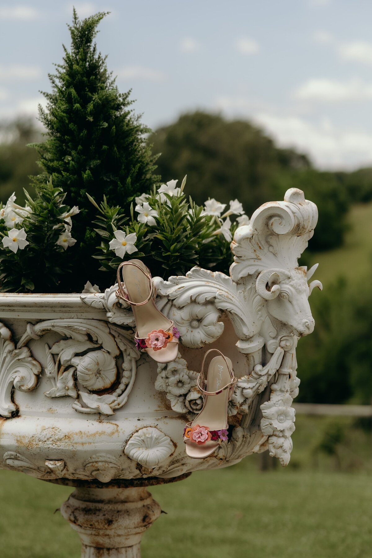 vineyard-wedding-11