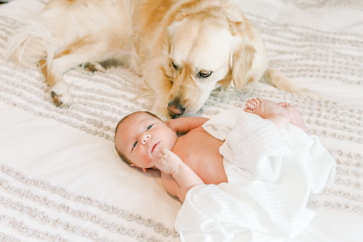 Birmingham-al-Newborn-photographer-Elle-Lovelace-90