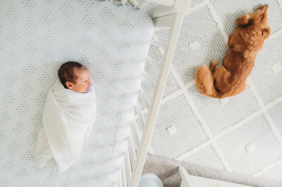 baby in crib with dog on floor