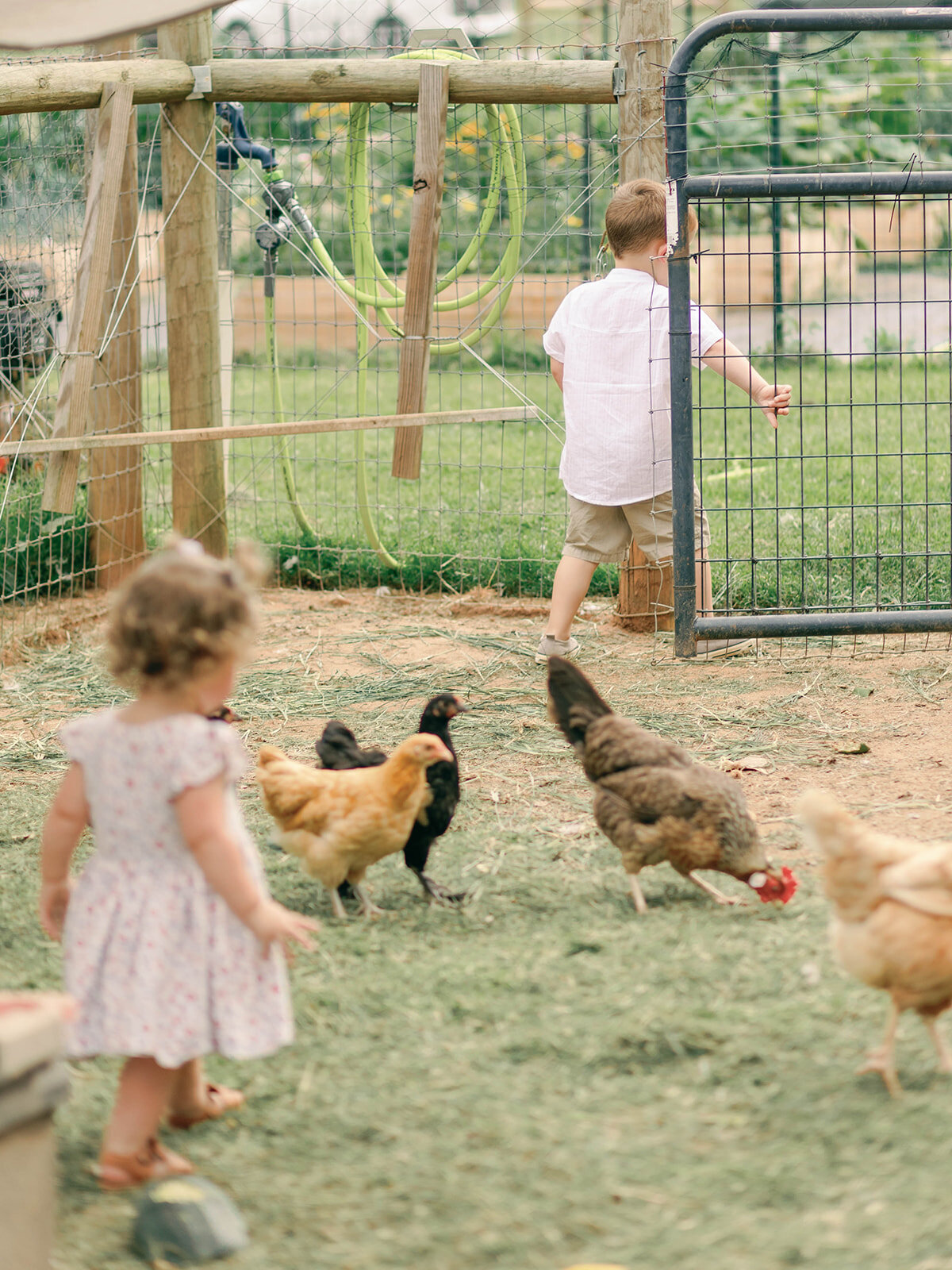 Children playing in chicken coupe