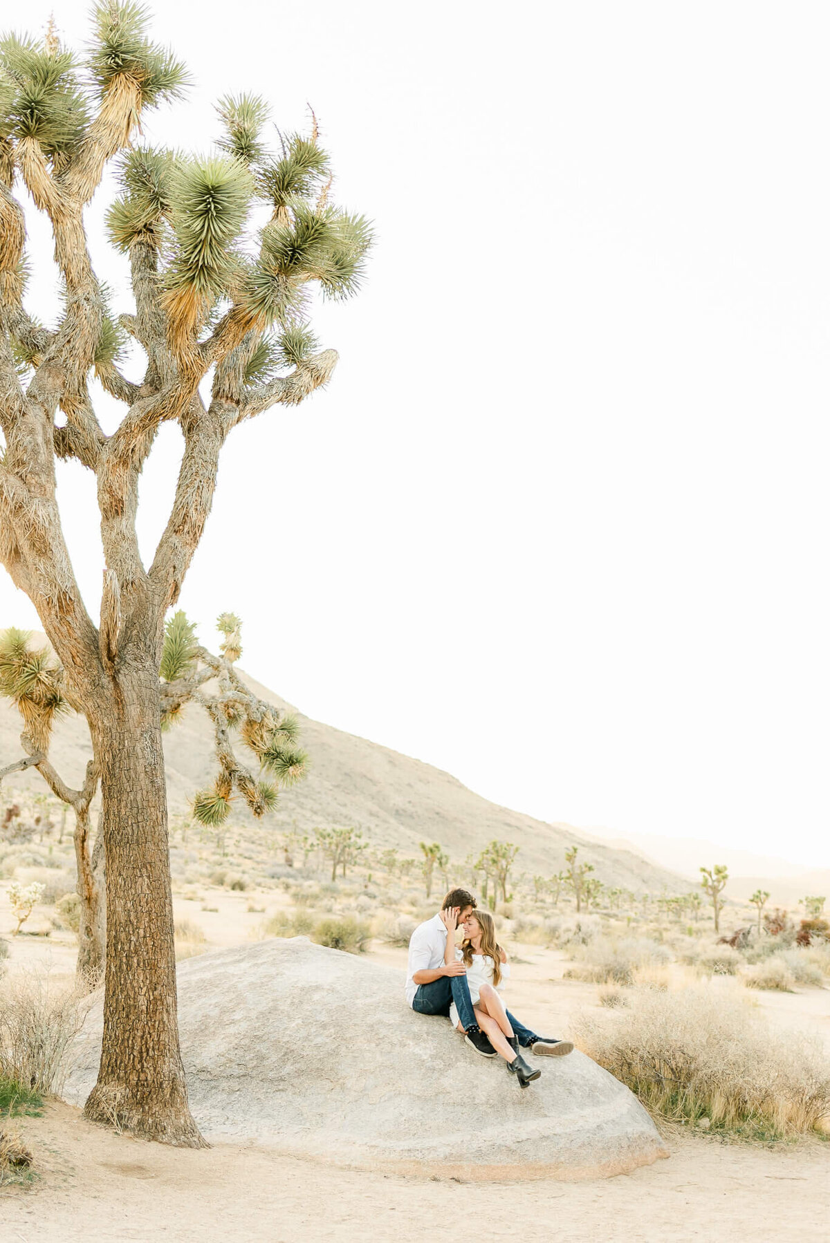 joshua-tree-national-park-elopement-weddings-engagement-photographers-southern-california-palm-springs-adventure-destination-1