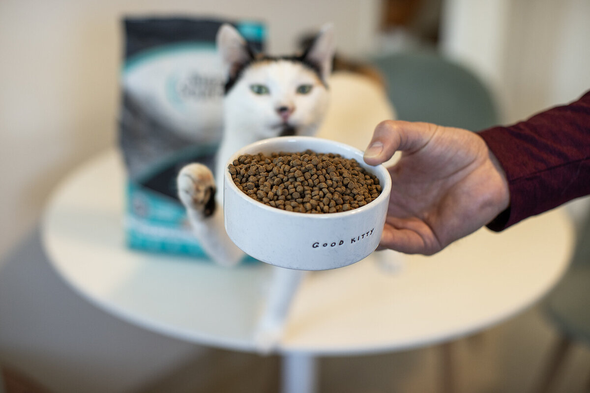 commercial pet photography
