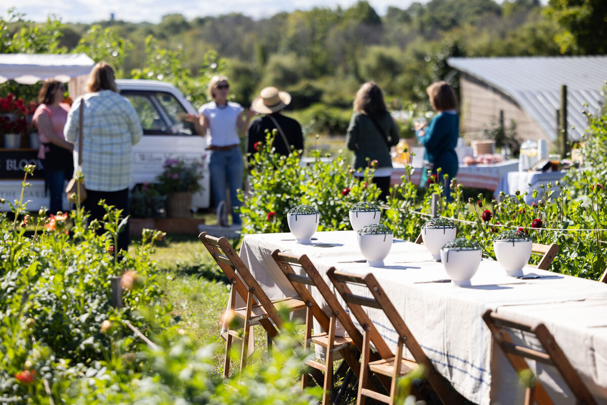 ct-brand-photography-dahlia-field-workshop
