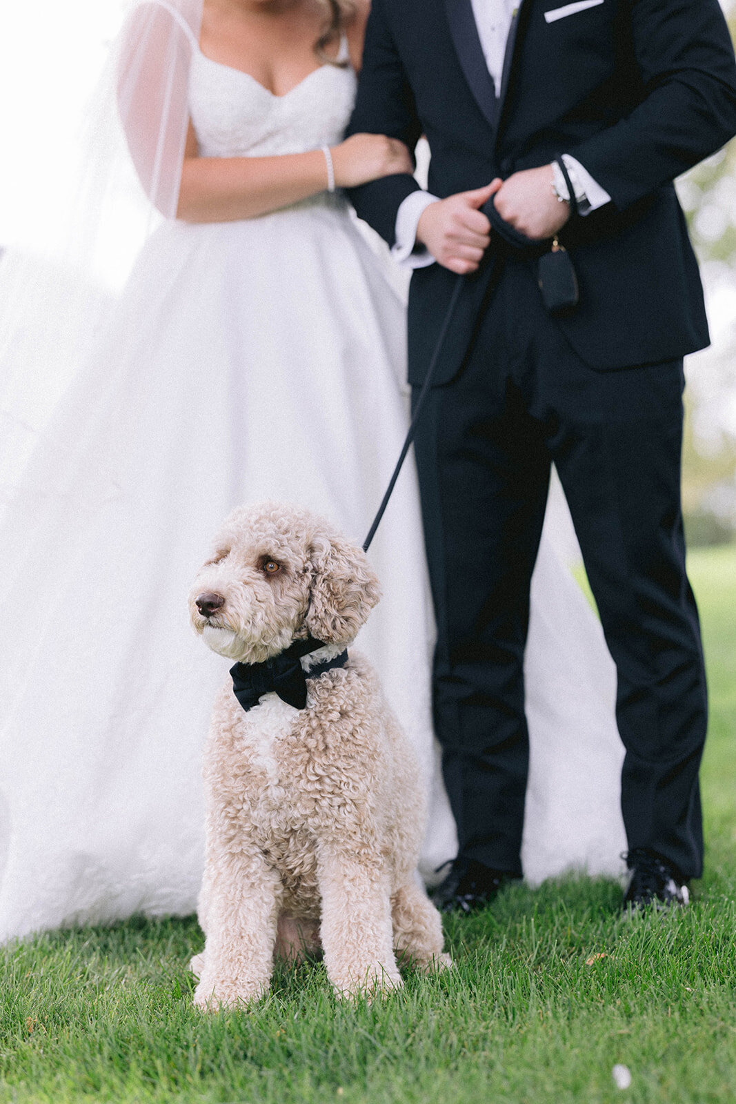 OrchardLakeCountryClubWedding_GatwardWedding_AliciaFrancesPhotography01 (505)