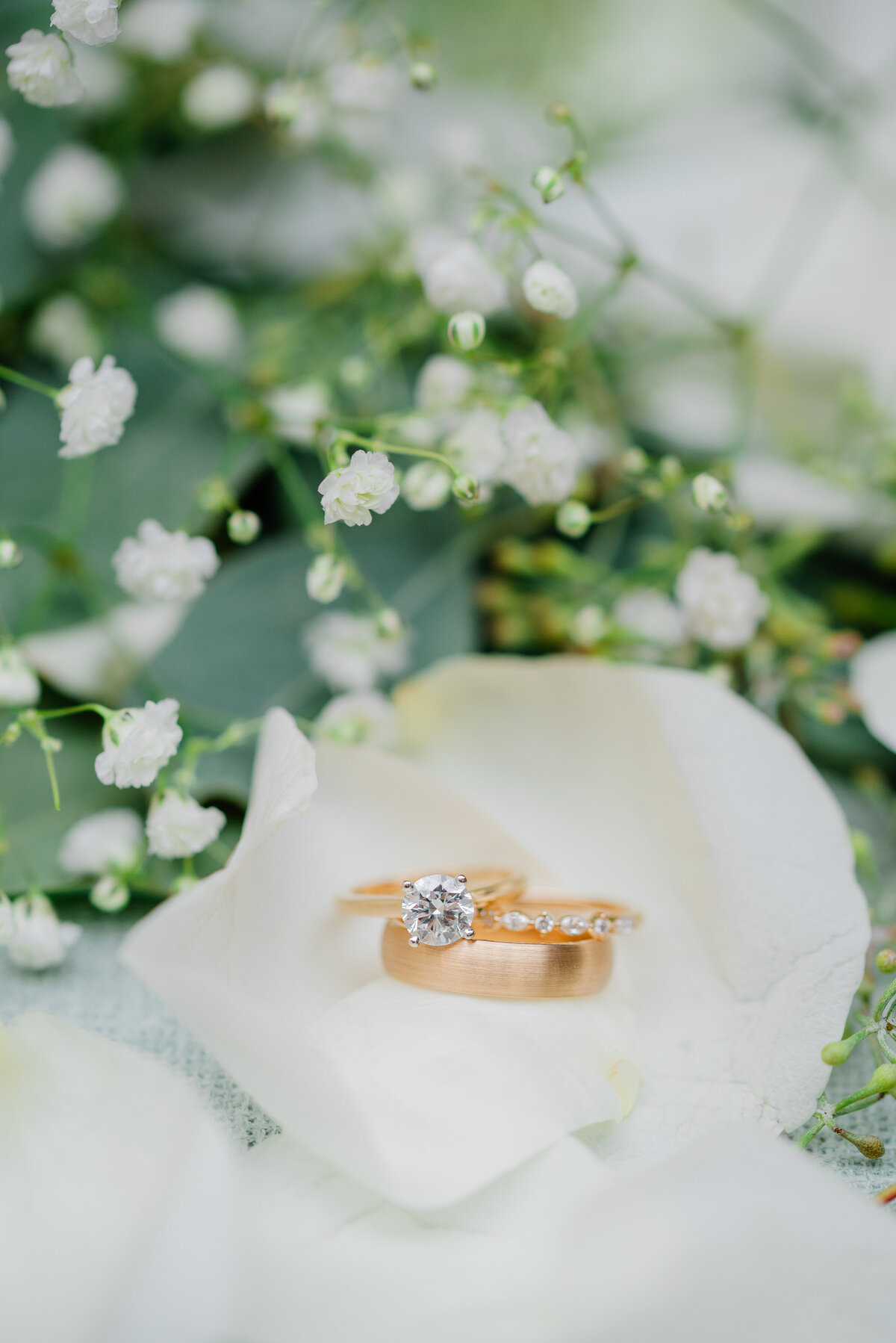 botanicgardenswedding-4594