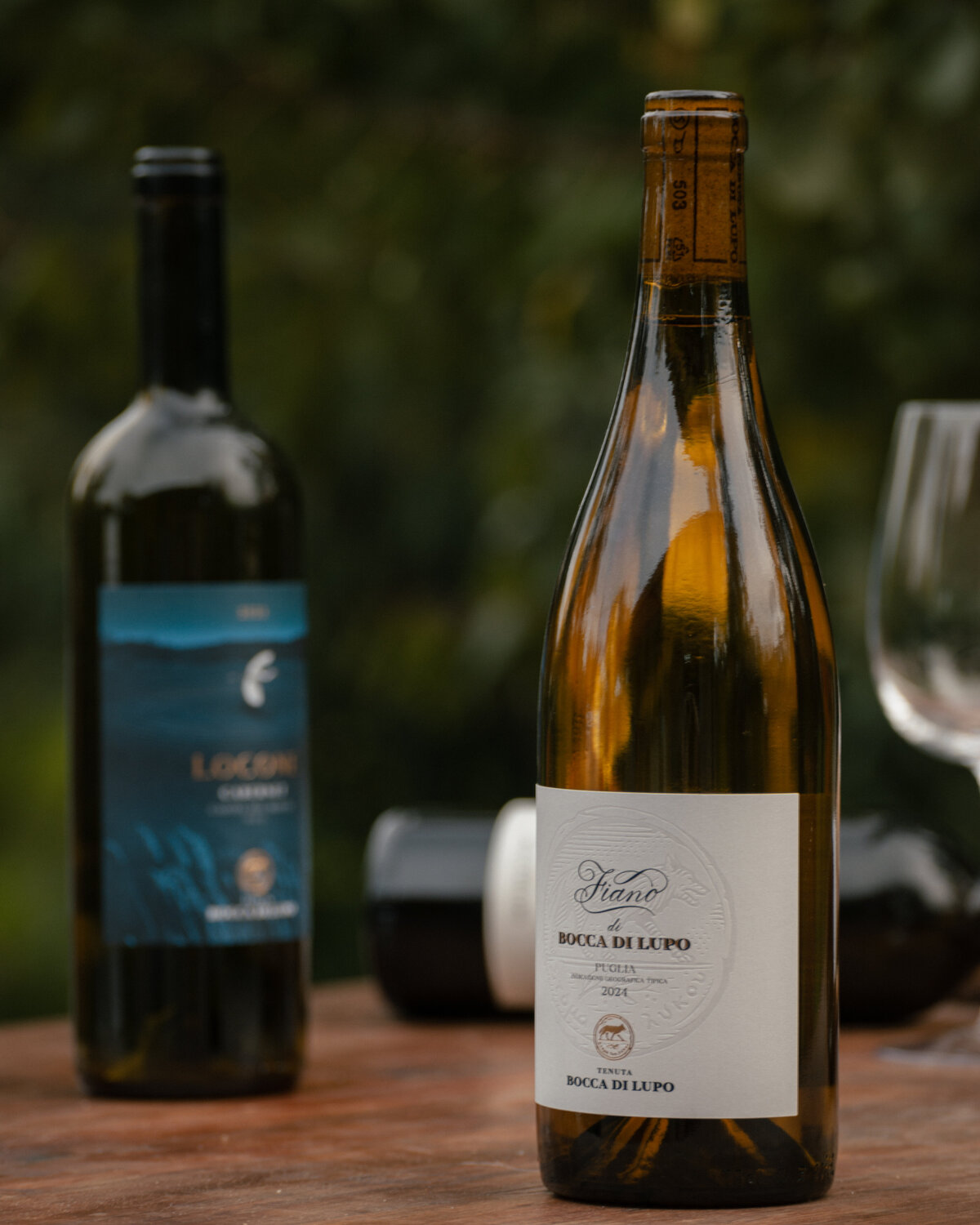 24Nov2025_BoccaDiLupo-98