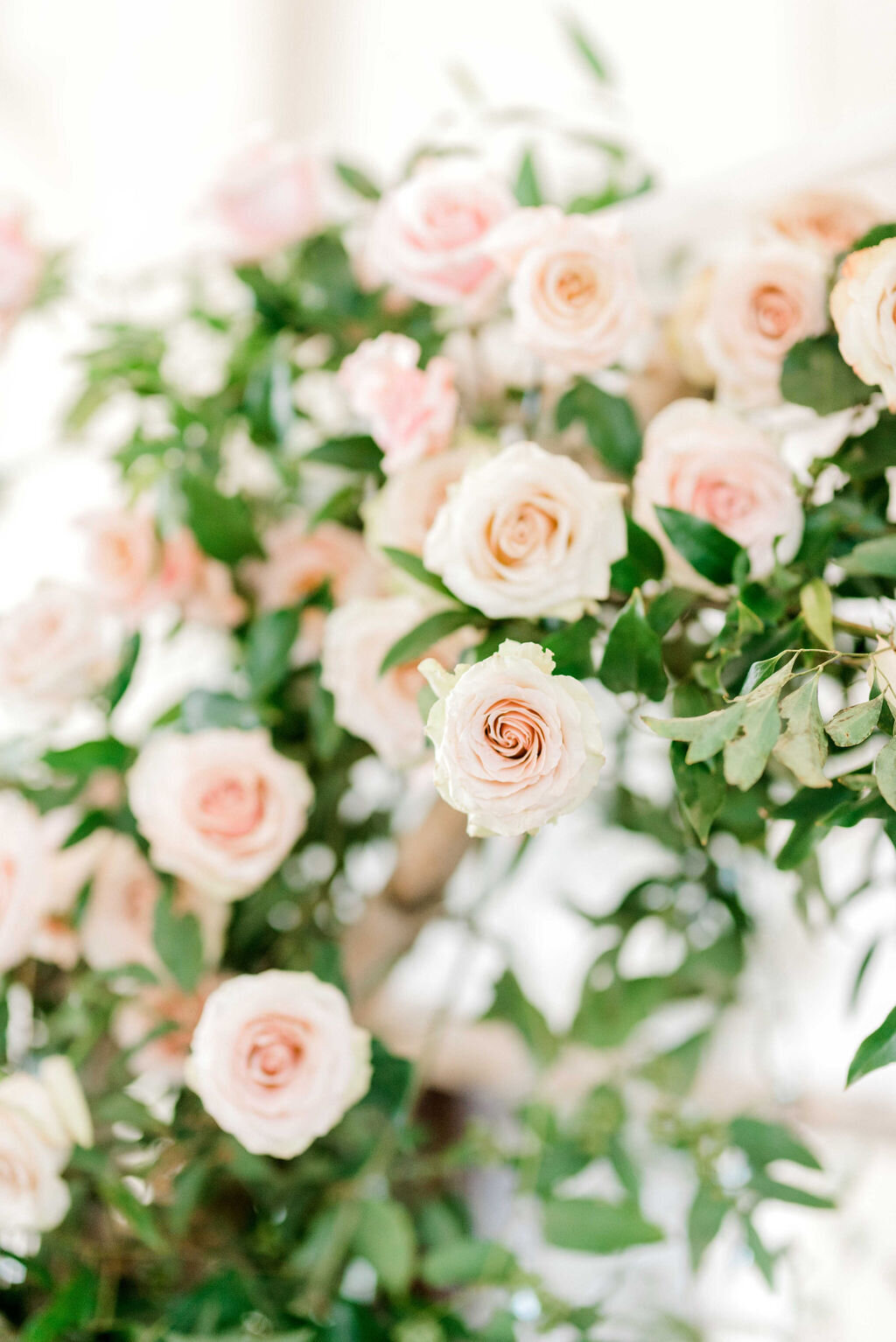 Weddingupload-616