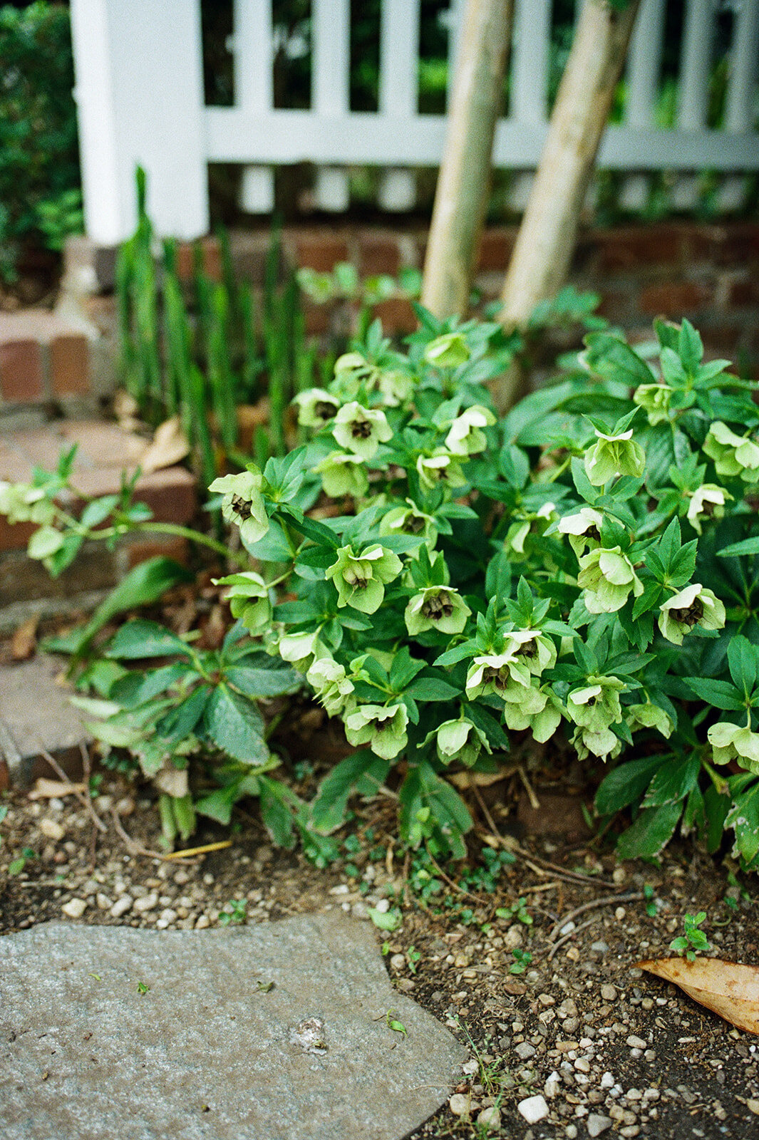 A+E-Engagement-Maggie Dunn Photography-4