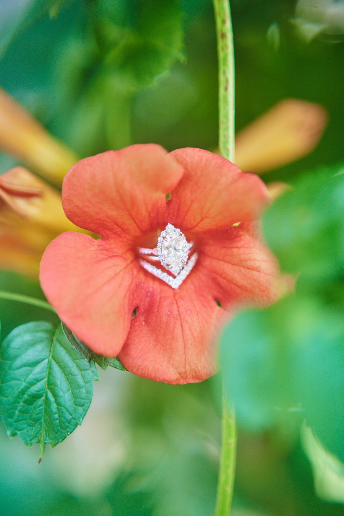 Wellers-Carriage-House-Wedding-14