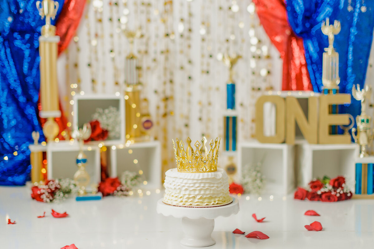 Huntsville AL Best Cake Smash First Birthday Photographer Studio