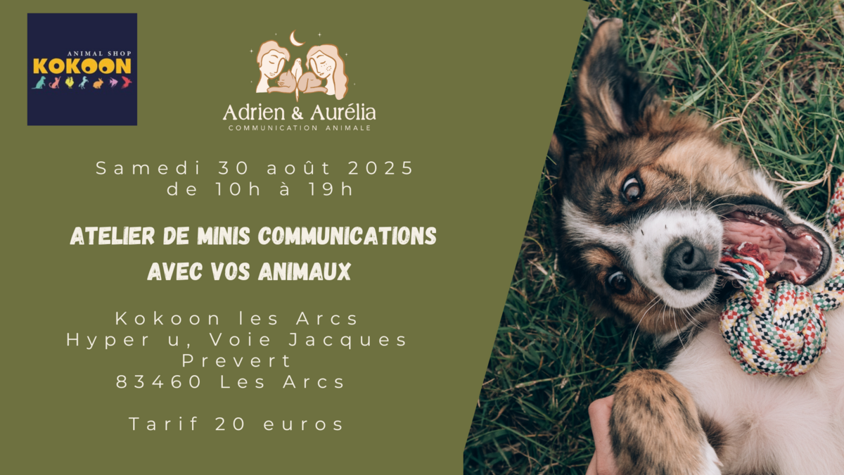 salon cavaillon