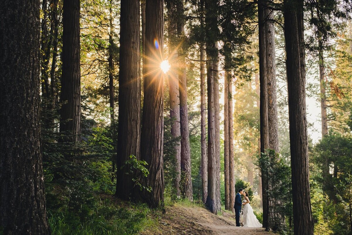 Big Sur Wedding Photographer
