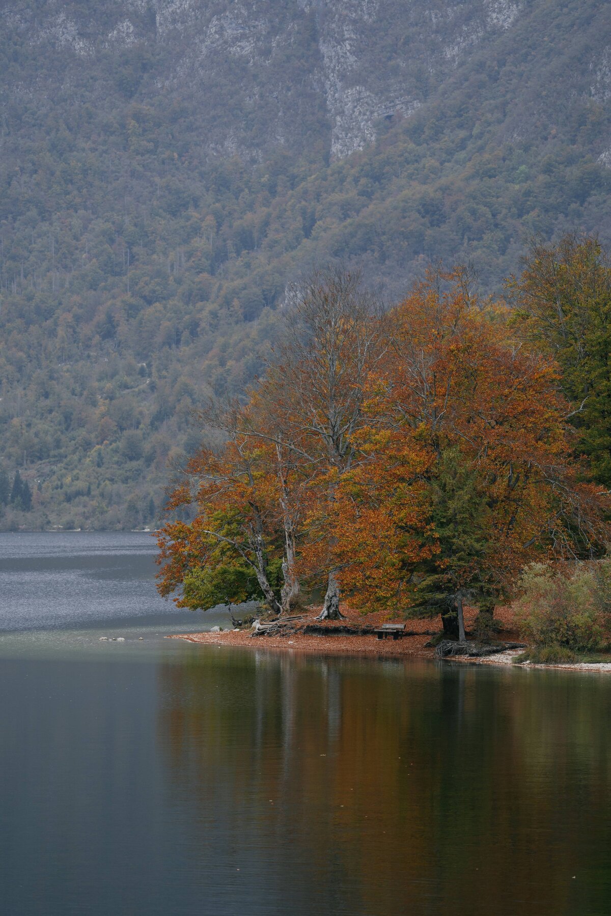 2022-10-17_SLOVENIE_ILCE-7M4_0444
