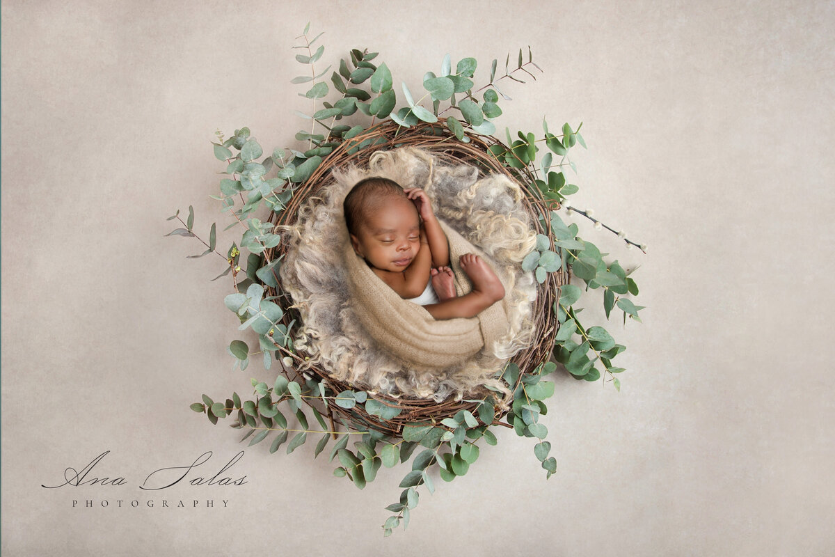 Newborn-Photographer-Edmonton-14