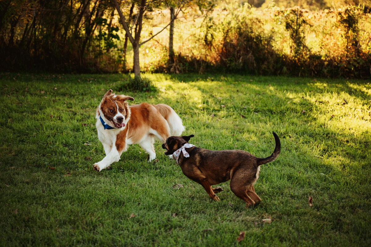 NicoleS_Fall2025_006