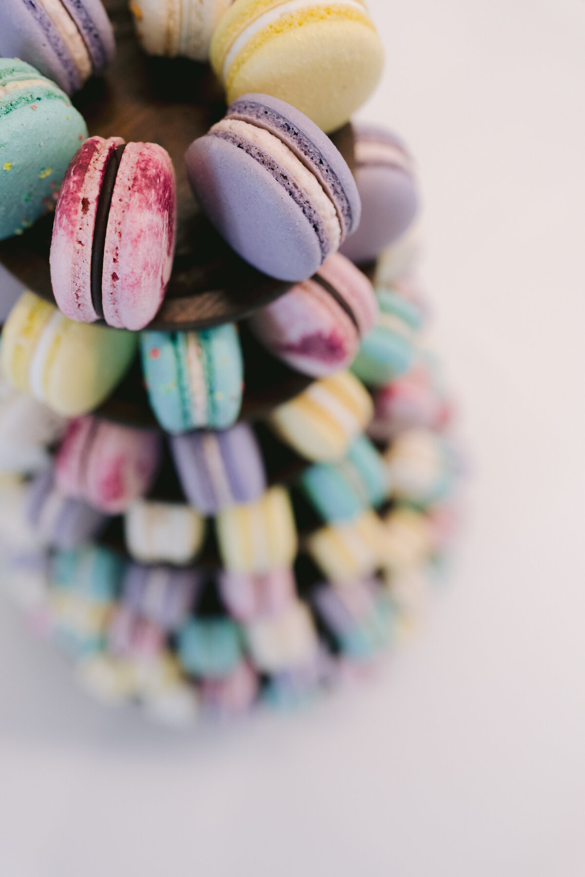 Taylor-Kalen-Reception-2