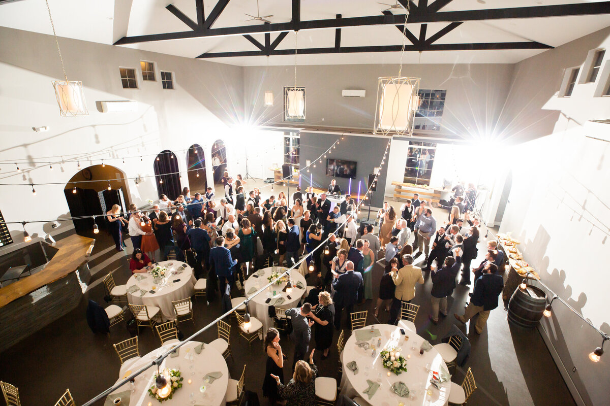 loudoun-studios-wedding-bluemont-blue-valley-vineyards-virginia00034