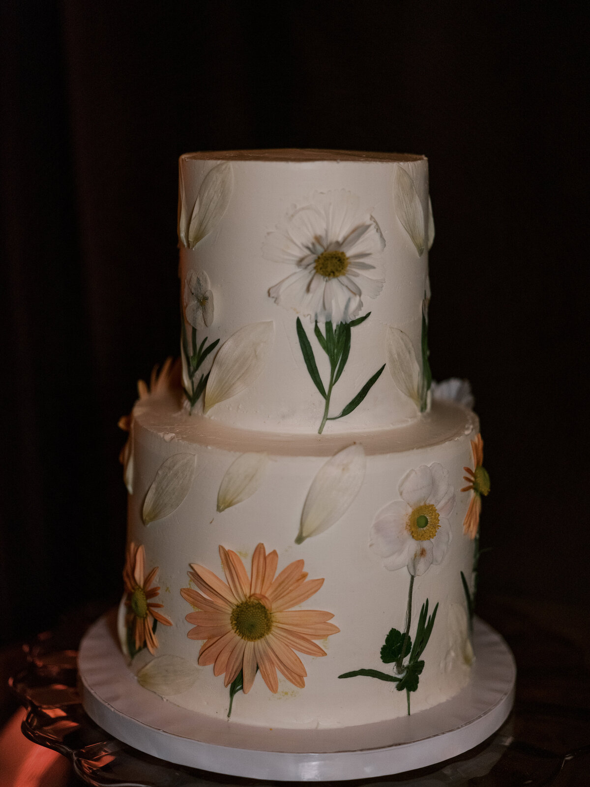Anna-Wright-Photography-Veritas-30