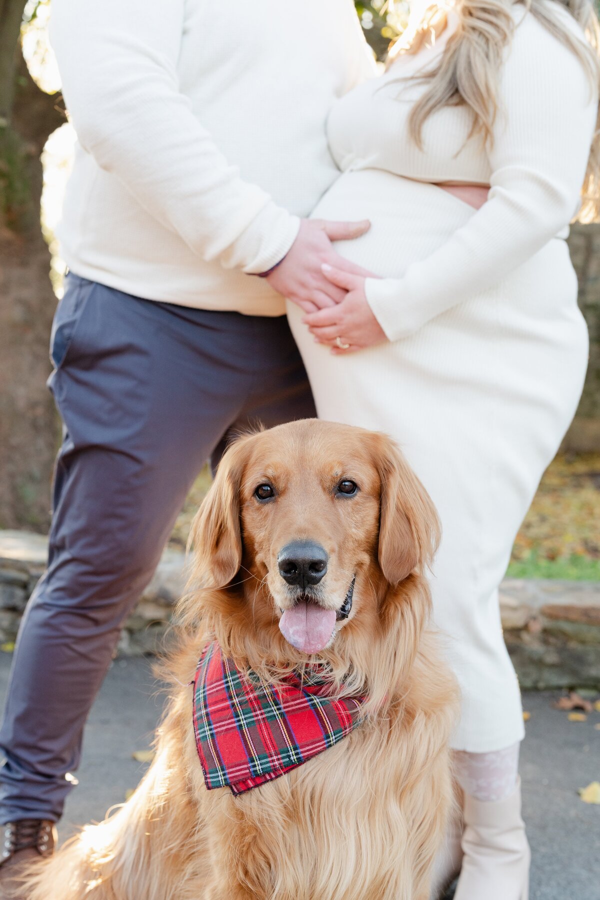 Howard_Family_Maternity_24_255935