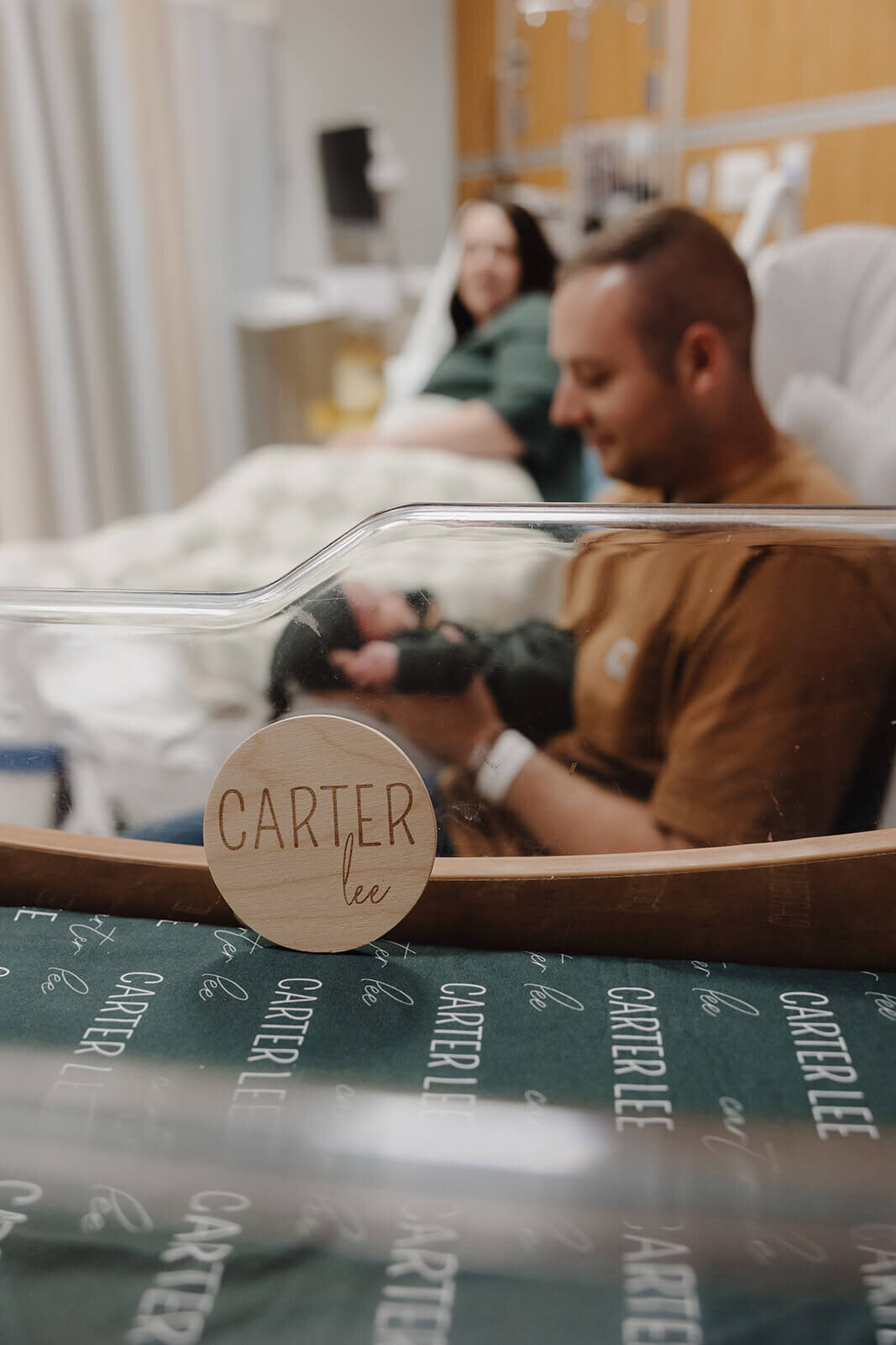 Dad looking at baby at newborn photoshoot at Finger Lakes, New Yok