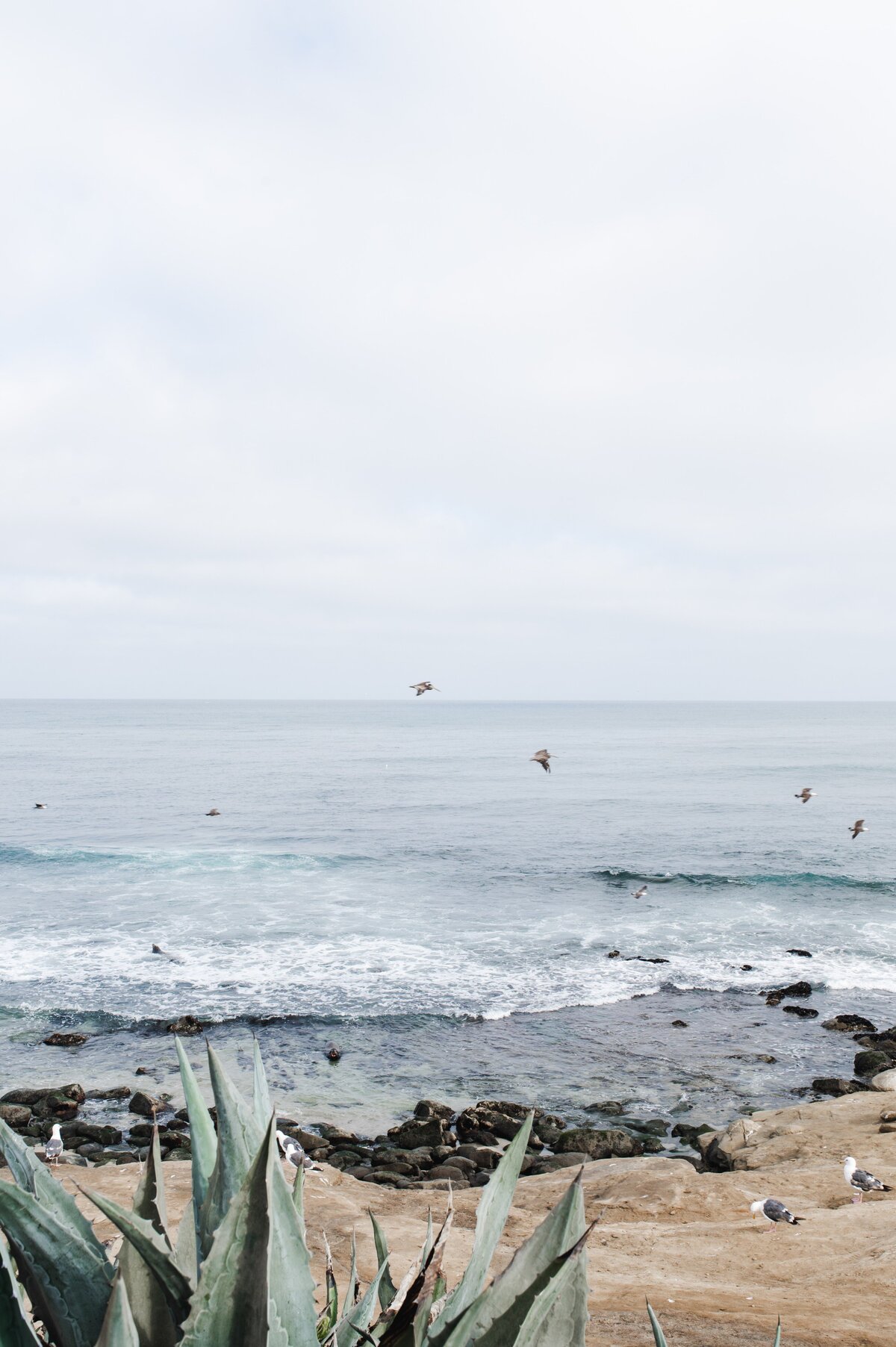 Above the Tide