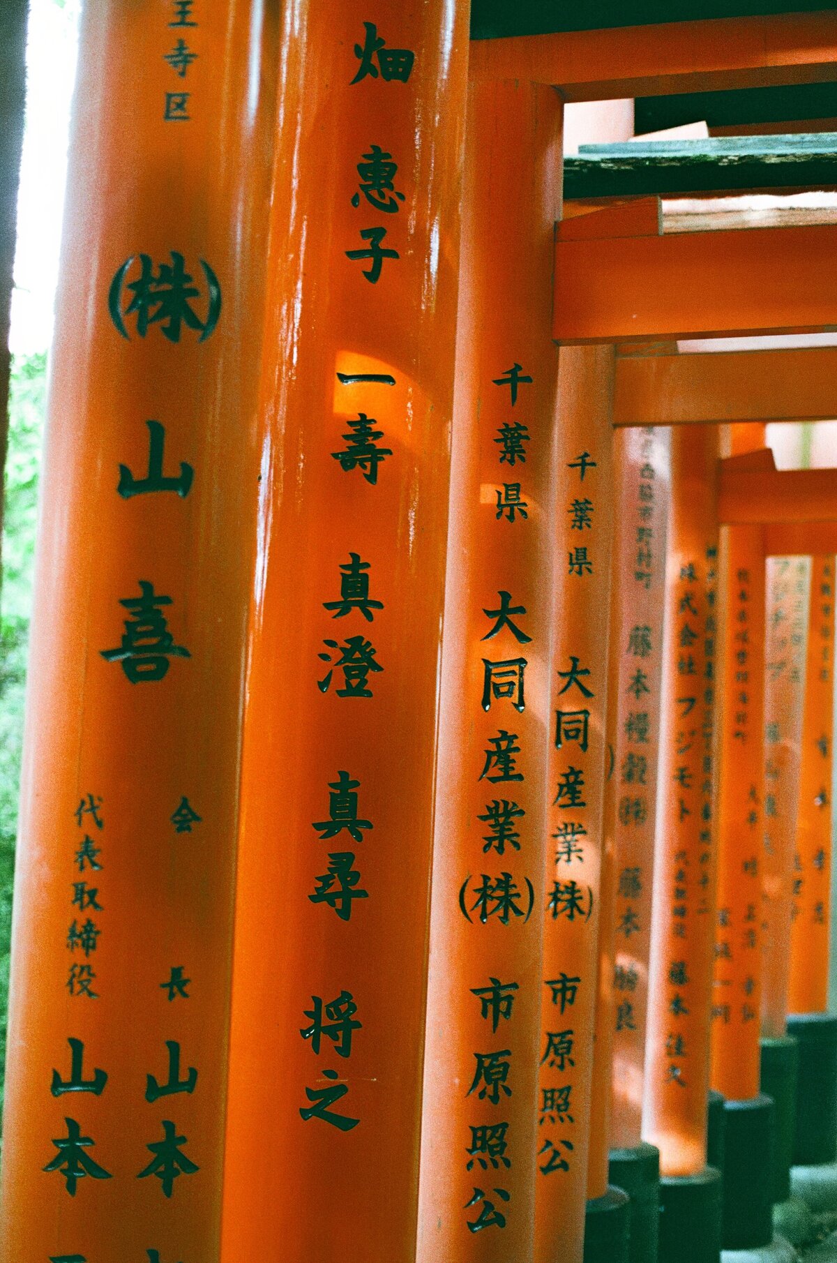 Rainstone Photography 241031 Japan & Seoul Trip-44