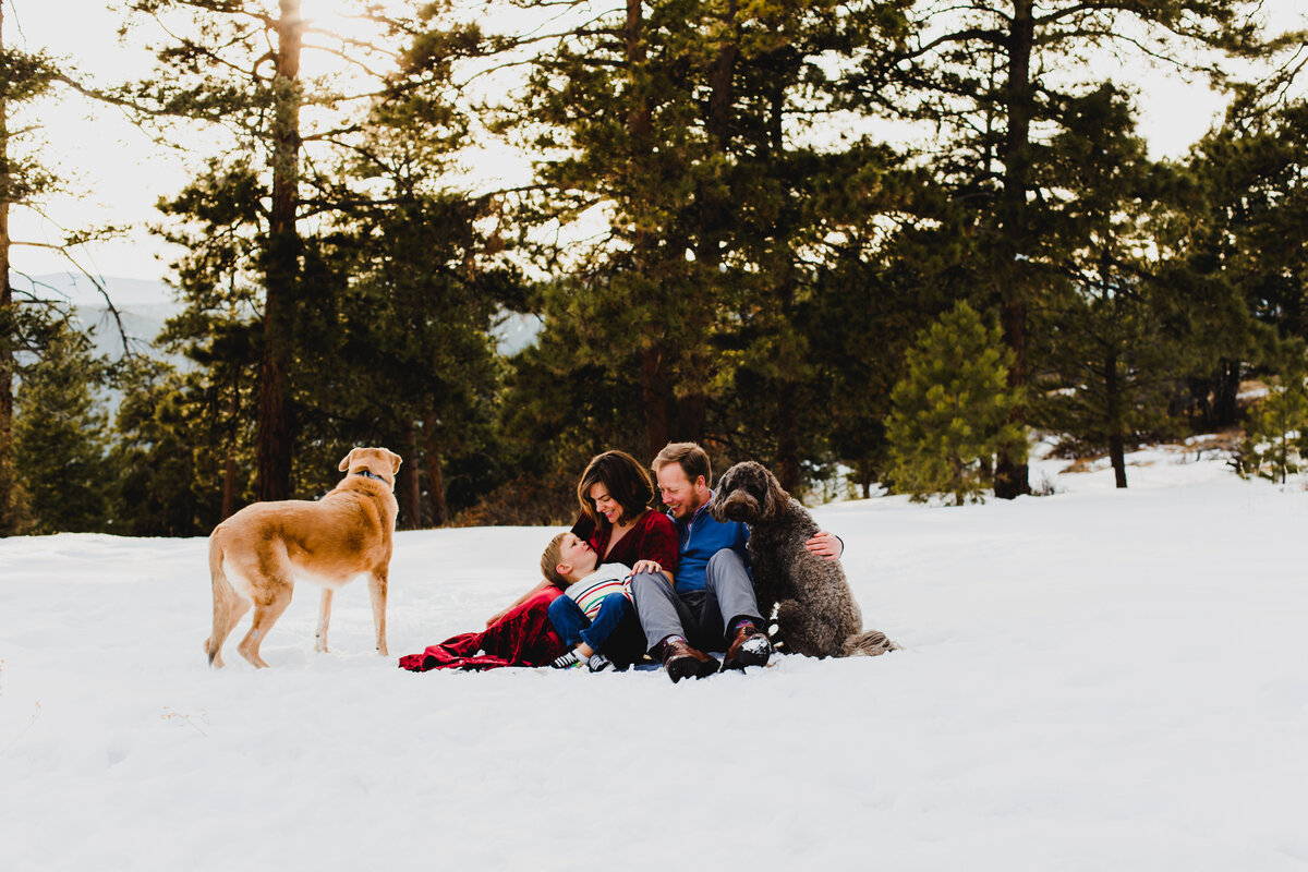 Family Session- Meg, Clayton, Sam & Pups- Mt. Falcon, CO-44