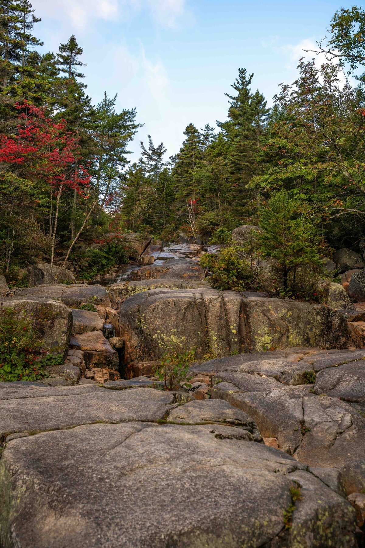 59_Meredith Ewenson Women's Group Hiking Trip_White Mountains New Hampshire_Appalachian Mountain Club_Hut to Hut_October 2025