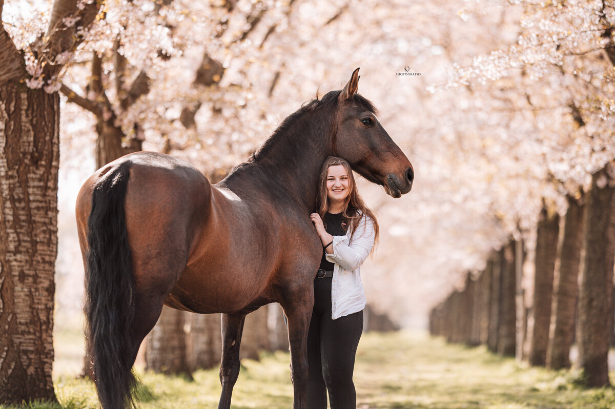Paardenfotografie bij de bloesem