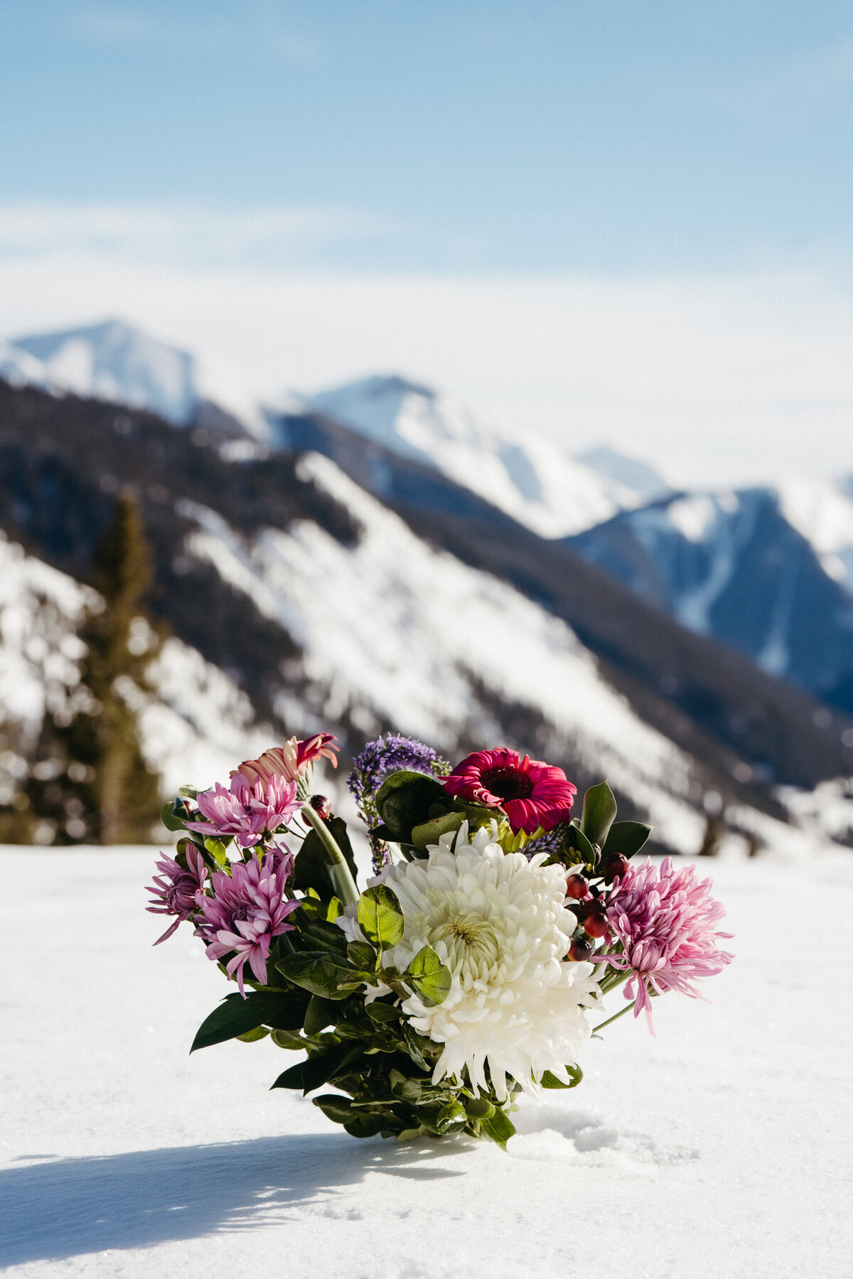 Sam-Murch-Photography-Ouray-Winter-Elopement-with-dog-55